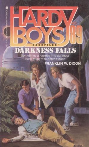 Cover of the book Darkness Falls by R.L. Stine