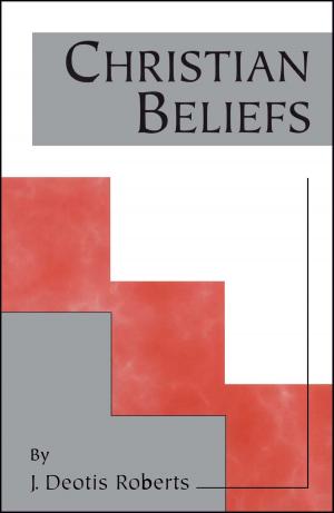 Cover of the book Christian Beliefs by David Valentine Bernard