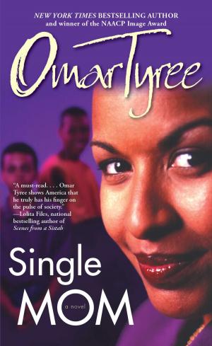 Book cover of Single Mom