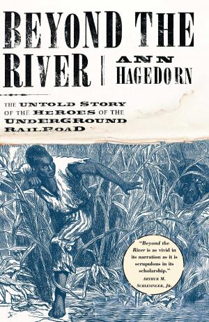 Cover of the book Beyond the River by Steven Rowley