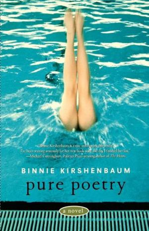 Cover of the book Pure Poetry by Gary Marmorstein