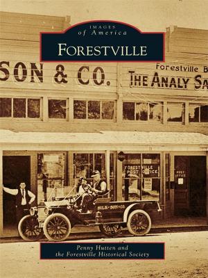 Cover of the book Forestville by Frank Cheney