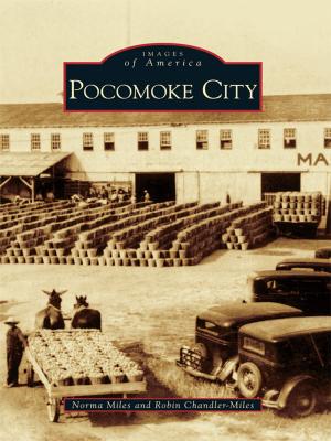 Book cover of Pocomoke City