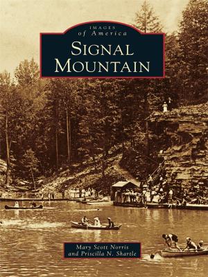 Cover of the book Signal Mountain by James A. Kushlan, Kirsten Hines
