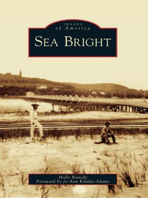 Cover of the book Sea Bright by David Goss, Harold E. Wright