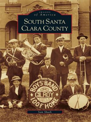 bigCover of the book South Santa Clara County by 