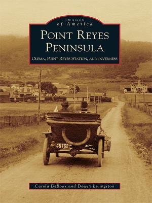 Cover of the book Point Reyes Peninsula by Marcea K. Seible
