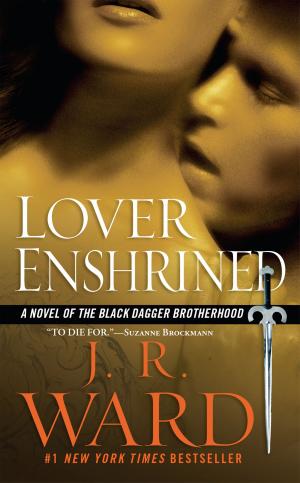 Cover of the book Lover Enshrined by Amanda Jones