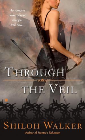 Book cover of Through the Veil