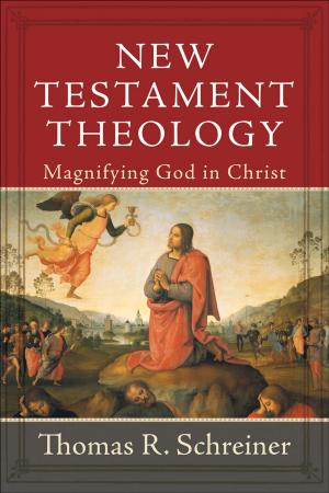 Cover of the book New Testament Theology by David Clyde Jones
