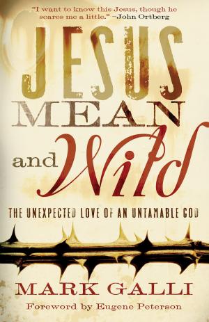 Cover of the book Jesus Mean and Wild by Walt M.D. Larimore, Susan A M.D. Crockett