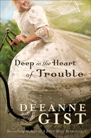 Cover of the book Deep in the Heart of Trouble by Amanda Meredith