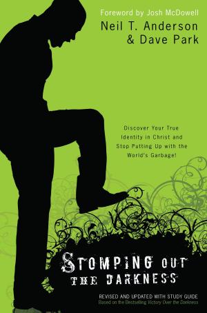 Cover of the book Stomping Out the Darkness by Beverly Lewis