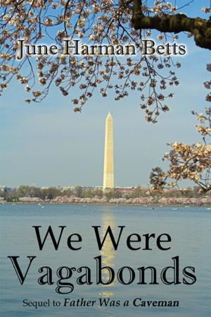 Cover of the book We Were Vagabonds by Bishop-Dr. Julieann Pinder