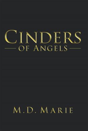 Book cover of Cinders of Angels