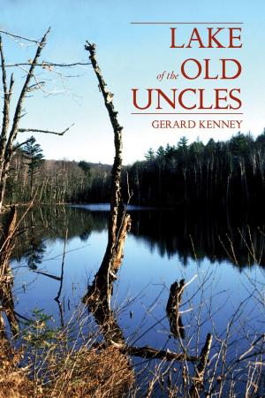 Cover of the book Lake of the Old Uncles by Karen Hood-Caddy