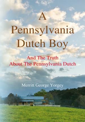 Book cover of A Pennsylvania Dutch Boy