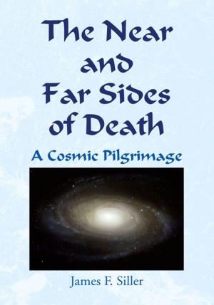 Cover of the book The Near and Far Sides of Death by Jim Trevis