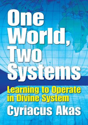 Cover of the book One World, Two Systems by James E. Tague