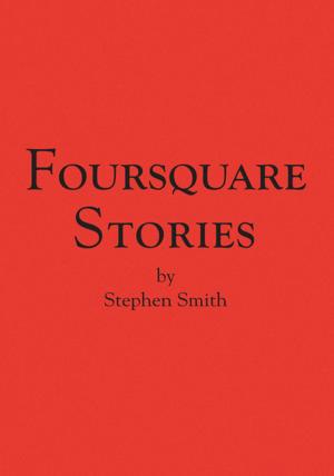 Cover of the book Foursquare Stories by David Mosey