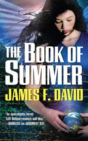 Cover of the book The Book of Summer by Morgan Llywelyn