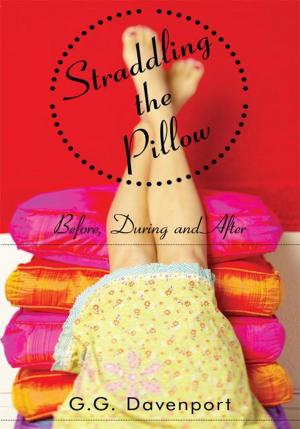 Cover of the book Straddling the Pillow by Shaun Mehta