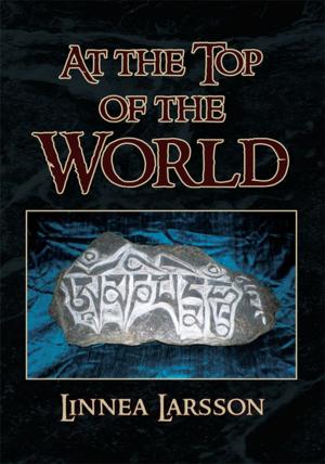 Cover of the book At the Top of the World by Anne E. O?Neill
