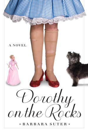 Cover of the book Dorothy on the Rocks by Suzanne Berne