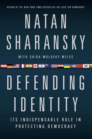 Cover of the book Defending Identity by Joseph S. Nye, Jr.