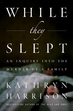 Cover of the book While They Slept by Elaine Meryl Brown