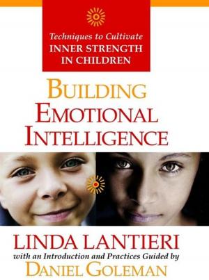 Book cover of Building Emotional Intelligence
