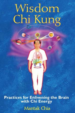 Cover of the book Wisdom Chi Kung by Lor Mun Mak
