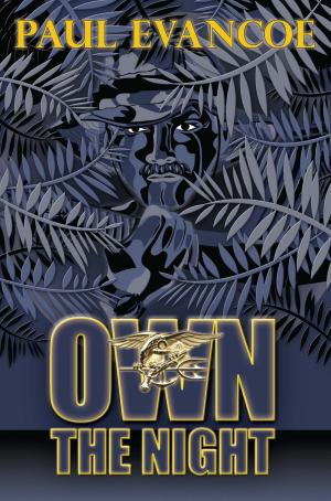 Cover of the book Own the Night by Bob Guns