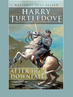 Cover of After the Downfall