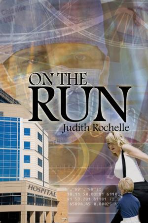 Cover of the book On the Run by Melissa  Klein