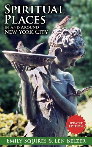 Cover of the book Spiritual Places In and Around New York City by D. Scott Rogo