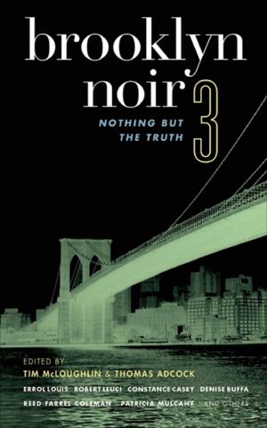 Book cover of Brooklyn Noir 3