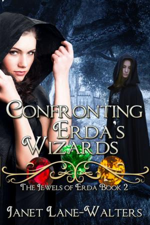 Cover of the book Confronting Erda's Wizards by Ann Herrick