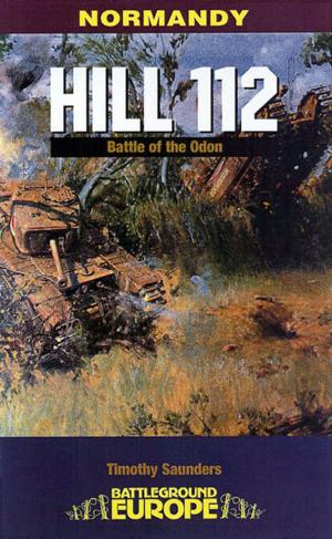 Cover of the book Hill 112 by Alex Severin