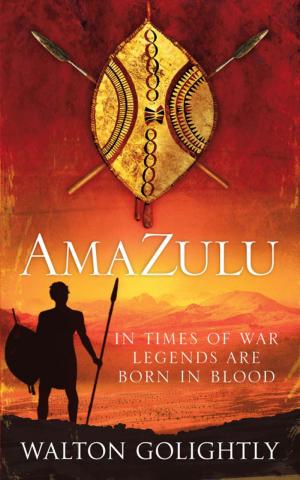 Cover of the book Amazulu by Élmer Mendoza