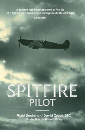Book cover of Spitfire Pilot