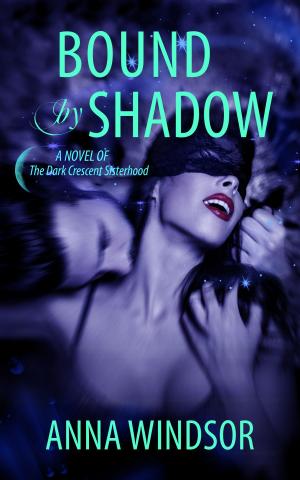 Cover of the book Bound by Shadow by Gail McFarland
