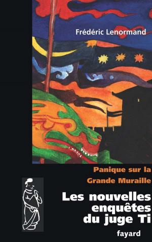 Cover of the book Panique sur la Grande Muraille by Jacques Attali