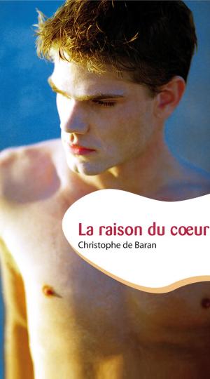 Book cover of La raison du coeur (roman gay)