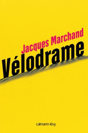 Cover of the book Vélodrame by Camilla Grebe
