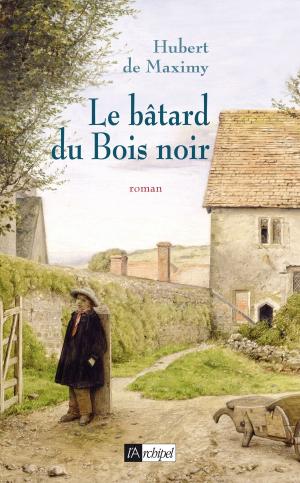 Cover of the book Le bâtard du bois noir by Pierre Lunel