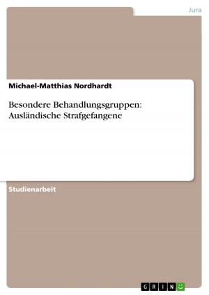 Cover of the book Besondere Behandlungsgruppen: Ausländische Strafgefangene by Alona Gordeew