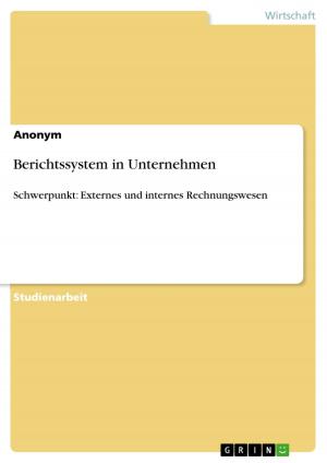 Cover of the book Berichtssystem in Unternehmen by Randy Witte