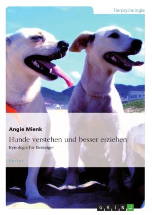 Book cover of Hunde verstehen und besser erziehen