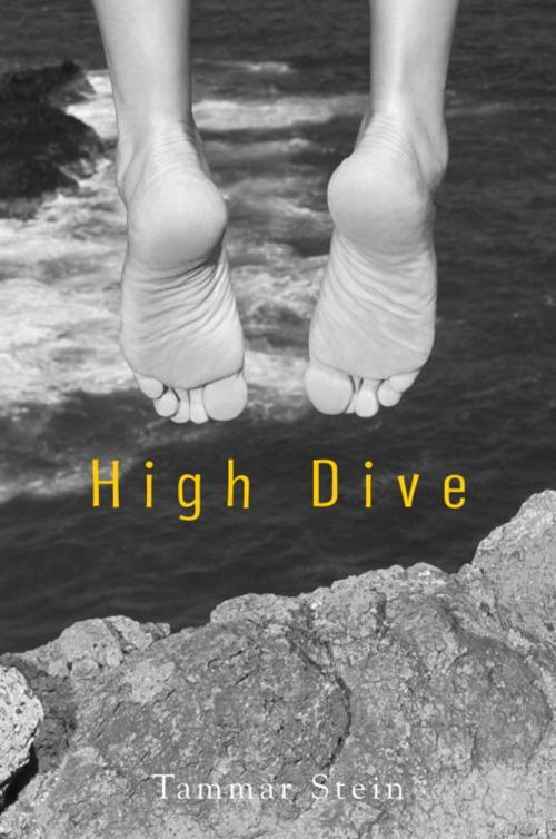 Cover of the book High Dive by Tammar Stein, Random House Children's Books